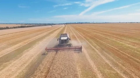 Aerial drone shot of a three combines harvesters working day in big a field. FHD Stock Footage 80236962