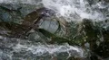 Aerial drone shot top view water streaming around rock 4k or 4k+ Resolution