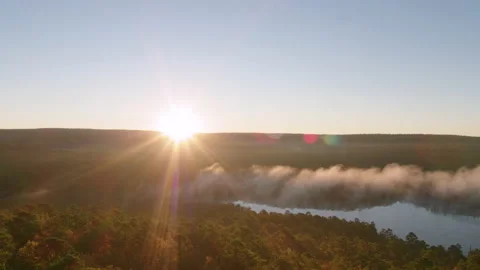 Aerial Drone Shot Tracking Over a Foggy Morning Forest as the Sun Rises Stock Footage 149443504