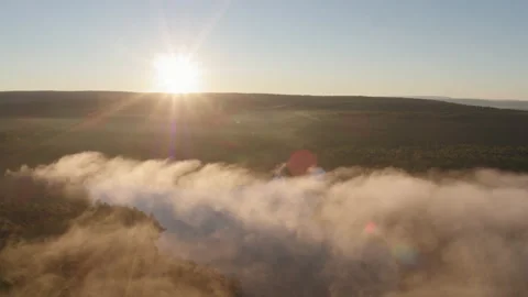 Aerial Drone Shot Tracking Over a Foggy Morning Forest as the Sun Rises Stock Footage 149444191