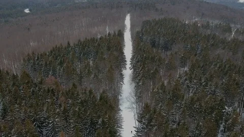 Aerial drone shot of trail through the winter forest. Stock Footage 86571348