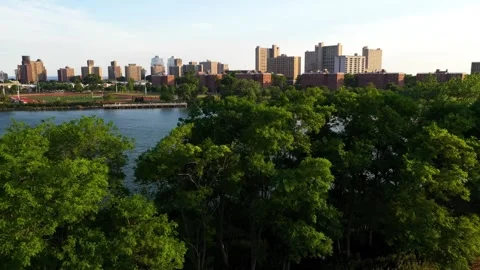 Aerial Drone Shot of Trees and Coney Island Creek at Sunset 動画素材 337901550