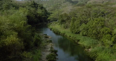 Aerial Drone Shot Of Tropical River Between Lush Jungle Hills 스톡 동영상 331179853