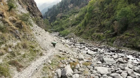 Aerial drone shot of two 2 hikers trekkers hiking in mountains, nature Video stock 156959229
