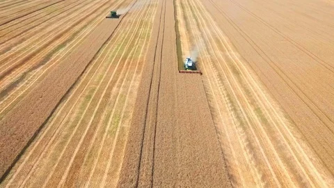 Aerial drone shot of a two combines harvesters working day in big a field. FHD Stock Footage 80232488