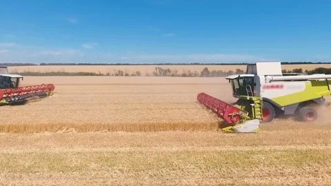 Aerial drone shot of a two combines harvesters working day in big a field. FHD Stock Footage 80235823