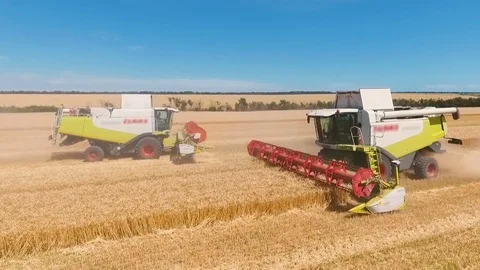 Aerial drone shot of a two combines harvesters working day in big a field. FHD Stock Footage 80236165