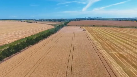 Aerial drone shot of a two combines harvesters working day in big a field. FHD Stock Footage 80237856