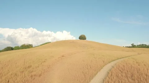 Aerial Drone shot of a valley Stock Footage 64580933