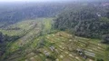 Aerial drone shot valley rice fields in cloudy mountain forest landscape Bali 4k or 4k+ Resolution