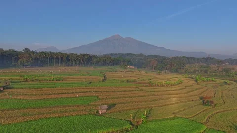 Aerial drone shot of vibrant green farmland with river framed by mountain range. Stock Footage 341926341