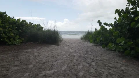 Aerial drone shot of walking path leading to a beautiful beach with waves and Stock Footage 138820558