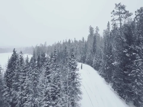 Aerial Drone Shot Winter path Stock Footage 70319977