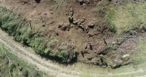 Aerial drone shot of workers clearing vegetation from a bush. Video stock 163378212