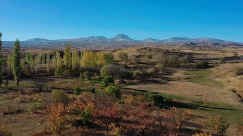 Aerial drone shot zoom in of fields and trees on background of Mount Aragats 스톡 동영상 124095360