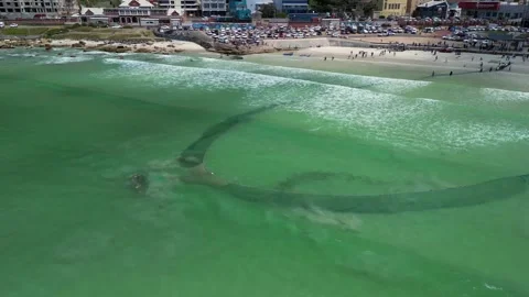 Aerial Drone Sideways Forward Flight with Tilt Over Traditional Fishing Net in Stock Footage 343907886