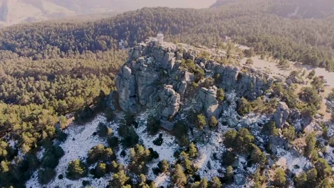 Aerial drone snowed forest view in winter Stock Footage 219616071