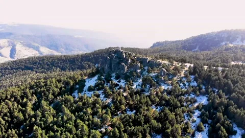 Aerial drone snowed forest view in winter Stock Footage 219616076