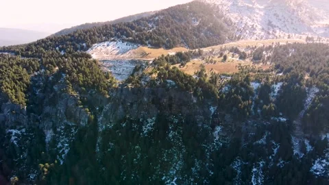 Aerial drone snowed forest view in winter Video stock 219616086