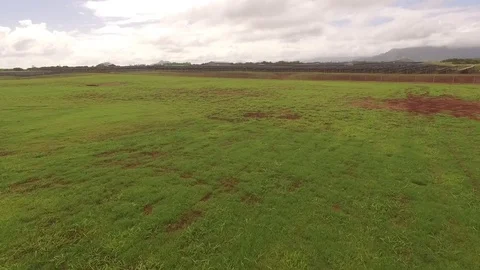 Aerial drone solar panel farm on Kauai - long approach Video stock 72508063