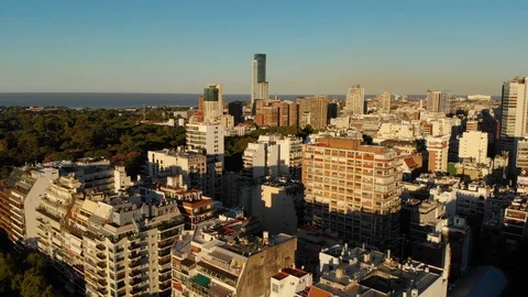 Aerial drone sunset, Tree park and Skyscraper buildings, Palermo, Buenos Aires Stock Footage 100896560