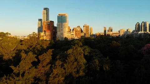 Aerial drone sunset, Tree park and Skyscraper buildings, Palermo, Buenos Aires Stock Footage 100900334