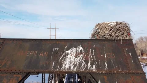 Aerial Drone Through Iron Frame Train Bridge w/ Eagle's Nest, Idaho Stock Footage 157134245