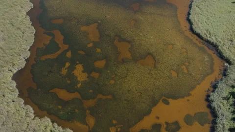 Aerial Drone Top-Down Abstract Water Vegetation Patterns in Zgierzynka Stock Footage 324966532