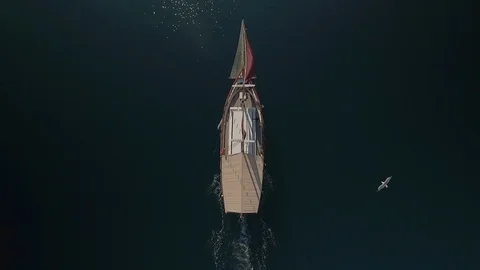 AERIAL DRONE TOP DOWN ANTIQUE SAILBOAT IN DEEP BLUE SEA AND SEAGULL PASSING BY Stock Footage 130097005