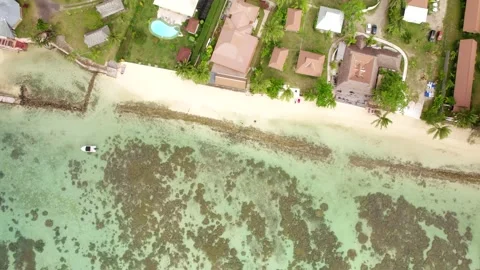Aerial Drone Top-Down of Beach with Houses &amp; Palm Trees on Tropical Island 10Bit Stock Footage 171961993