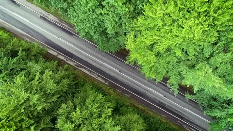 Aerial drone, Top Down: Car driving on road in forrest. Camera rotating. Stock Footage