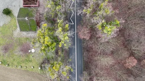 Aerial Drone Top Down Flight Over Empty Forest Road Stock Footage 323874985