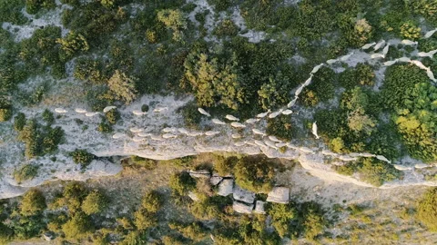 AERIAL DRONE TOP-DOWN FLOCK OF SHEEP CROSSING A ROCKY CLIFF BETWEEN GREEN TREES Stock Footage 130234525