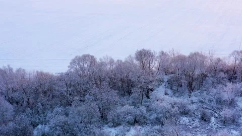 Aerial drone top down fly over snowy winter forest Stock Footage 144202136