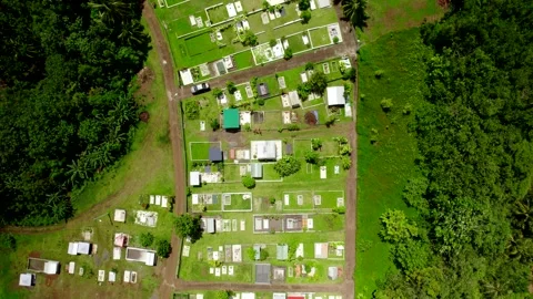 Aerial Drone Top-Down Flying Up over Cemetry in Tropical Jungle Tahiti Iti 10Bit Stock Footage 171972900