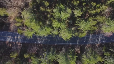 Aerial Drone Top Down Flying Left Over Trees And Road, Lac Megantic Stock Footage 267796064