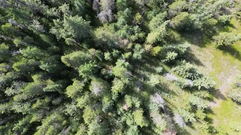 Aerial Drone top down footage over the region of Banff. Close up looking down at Stock Footage 246088658