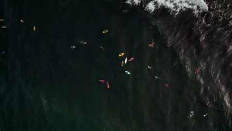Aerial Drone Top-Down Moving Down of Ocean with Surfers in Wave 10Bit Stock Footage 171629305
