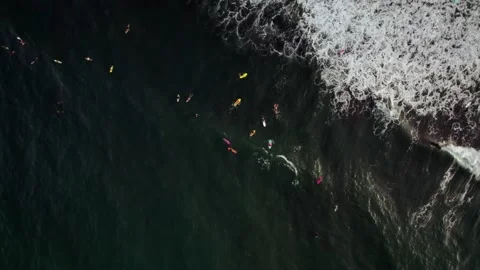 Aerial Drone Top-Down Moving Up of Ocean with Surfers &amp; Tropical Coast 10Bit Stock Footage 171631217