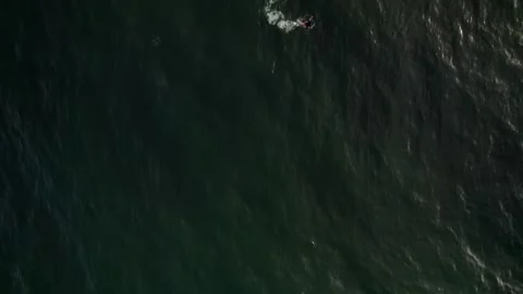 Aerial Drone Top-Down of Ocean with Surfers waiting for Waves 10Bit Stock Footage 171628202