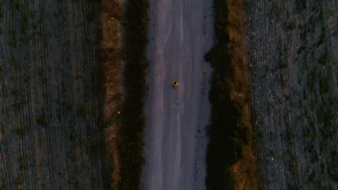 AERIAL DRONE TOP DOWN ONE MAN RUNNING ALONE IN COUNTRY ROAD Stock Footage 130135097