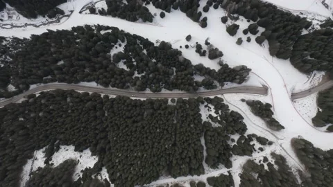 Aerial drone top down of road through forest in Italian Alps IT ALP DJI 0160 A Stock Footage 139946352