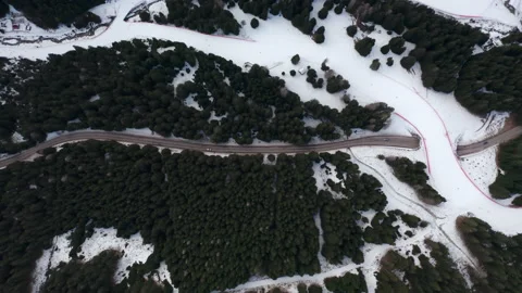 Aerial drone top down of road through forest in Italian Alps IT ALP 0160 A GR Stock Footage 143291382