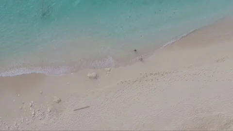 Aerial drone top down shot of a couple walking along Caribbean beach Stock Footage 137500601