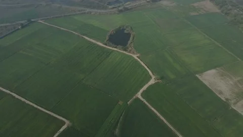 Aerial drone top down shot of green fields of indian farmers situated in New  Stock Footage 171369083