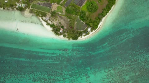 Aerial Drone Top-Down Shot of Beach of Motu with Turquoise Water 10Bit Stock Footage 171611370