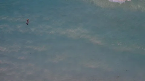 Aerial Drone top down shot following a pelican bird flying over rolling Stock Footage 250317930