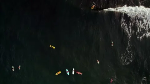 Aerial Drone Top-Down Static Shot of Ocean with Surfers 10Bit - Version 1 Stock Footage 171628149