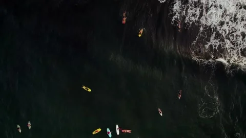 Aerial Drone Top-Down Static Shot of Ocean with Surfers 10Bit - Version 2 Video stock 171628336