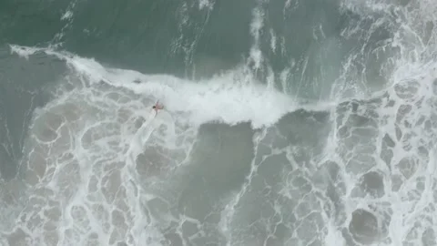 Aerial drone top down tracking surfer in tropical sea wave BR UBA DJI 0761 A Stock Footage 140187895